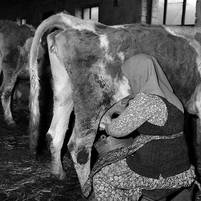 minerva_1986-1987_agrar_c1r5_010