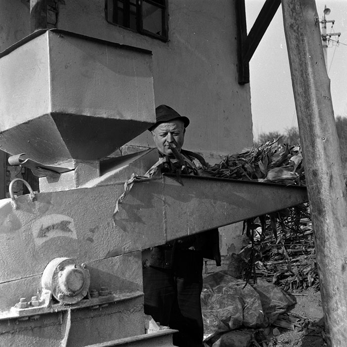 minerva_1986-1987_agrar_c1r5_011