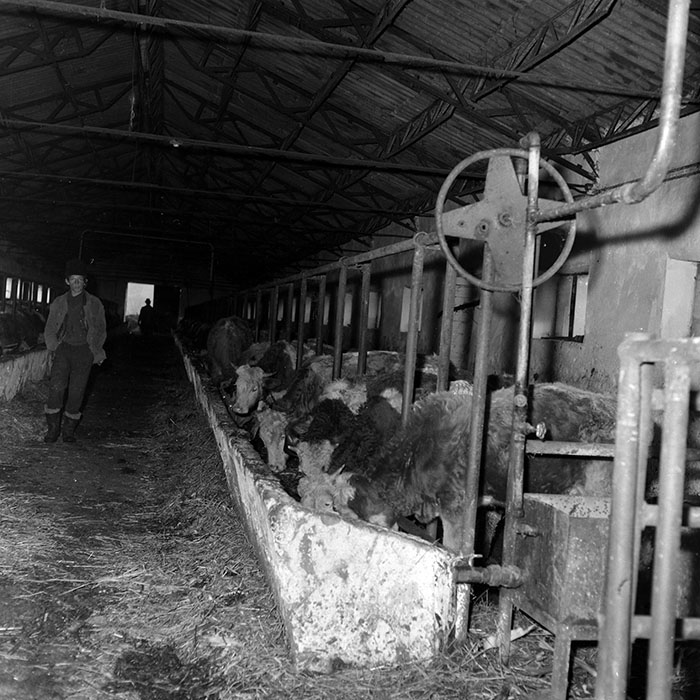 minerva_1986-1987_agrar_c1r5_012