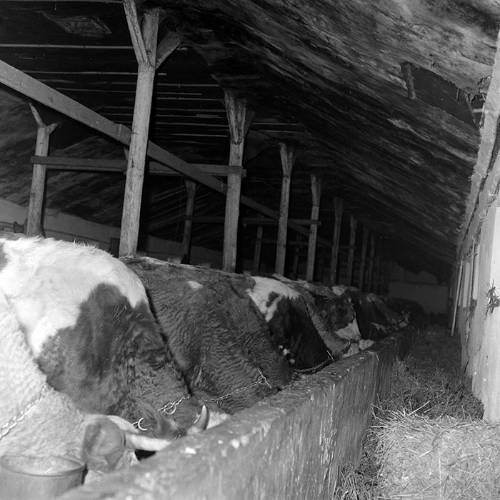 minerva_1986-1987_agrar_c1r5_014