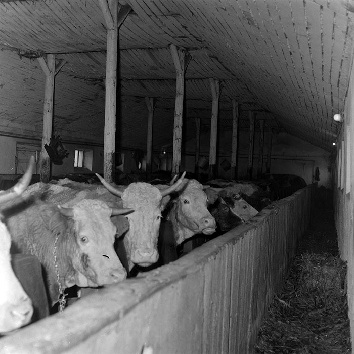 minerva_1986-1987_agrar_c1r5_021