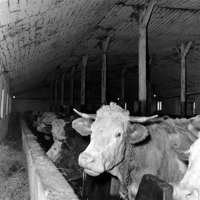 minerva_1986-1987_agrar_c1r5_022