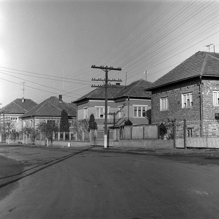 minerva_1986-1987_agrar_c1r5_023