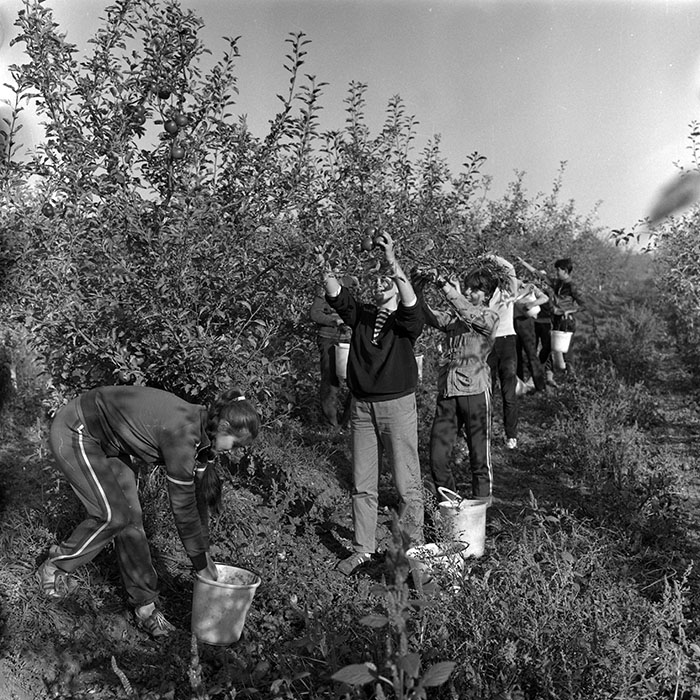 minerva_1986-1987_agrar_c2r1_001