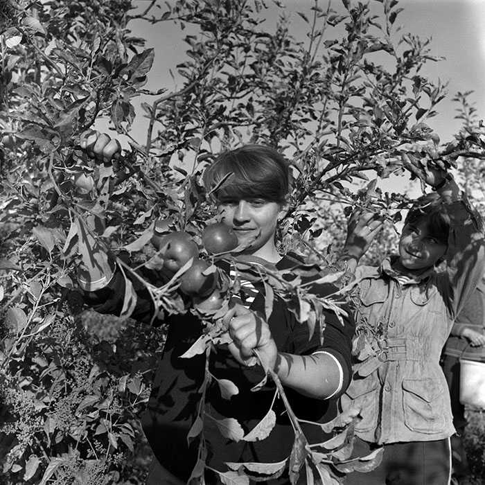 minerva_1986-1987_agrar_c2r1_002