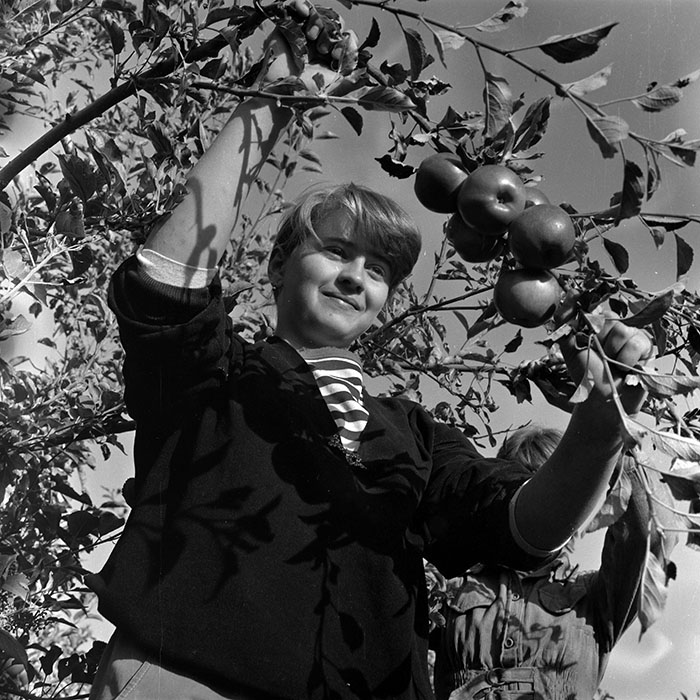 minerva_1986-1987_agrar_c2r1_003