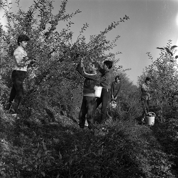 minerva_1986-1987_agrar_c2r1_005