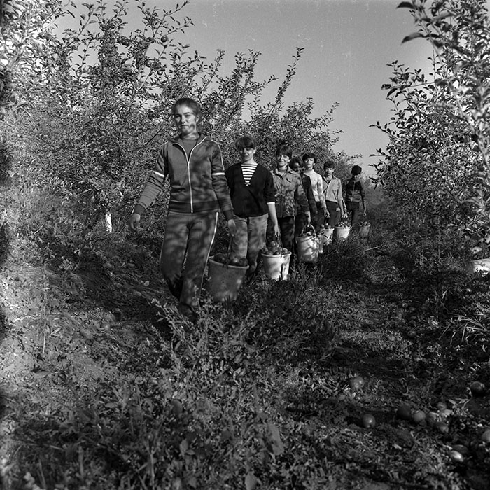 minerva_1986-1987_agrar_c2r1_006