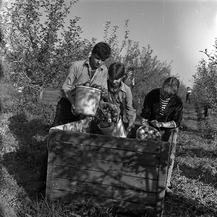 minerva_1986-1987_agrar_c2r1_007