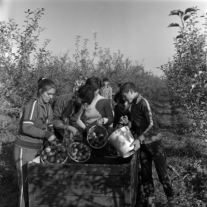 minerva_1986-1987_agrar_c2r1_008