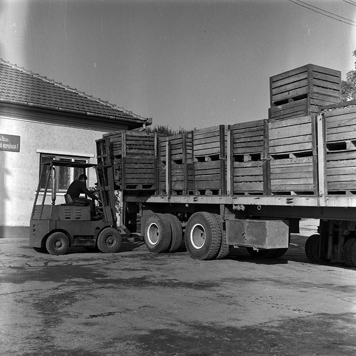 minerva_1986-1987_agrar_c2r1_009