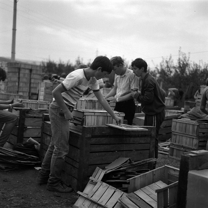 minerva_1986-1987_agrar_c2r1_010