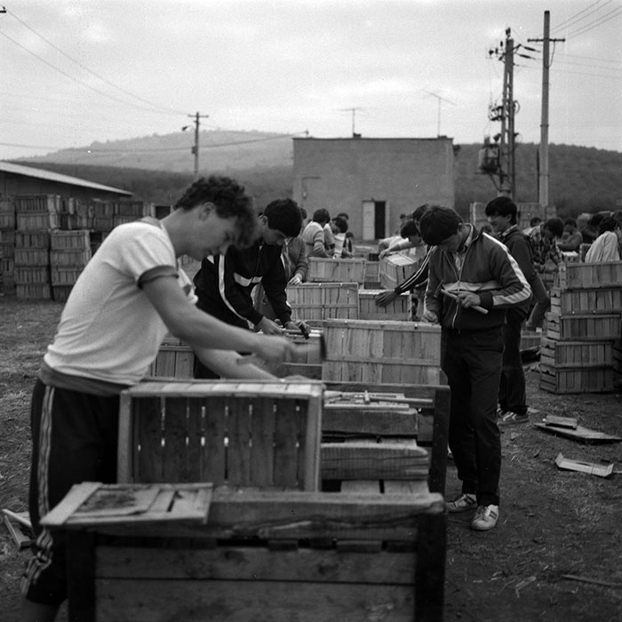 minerva_1986-1987_agrar_c2r1_011