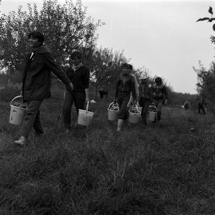 minerva_1986-1987_agrar_c2r1_013