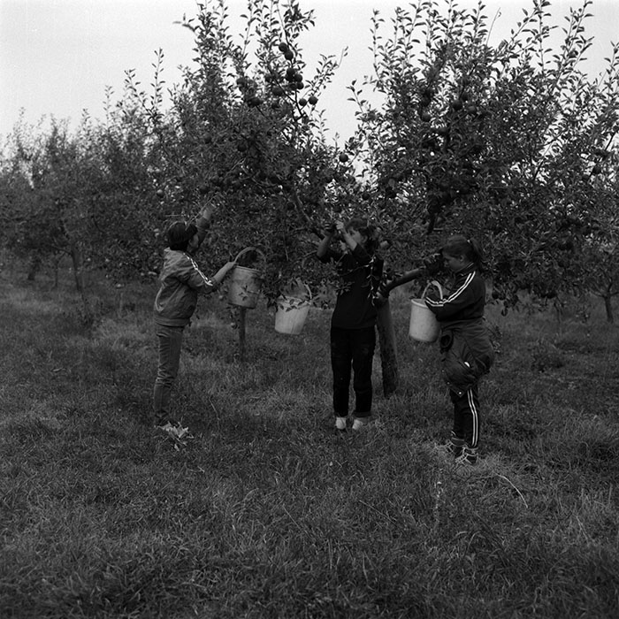 minerva_1986-1987_agrar_c2r1_016