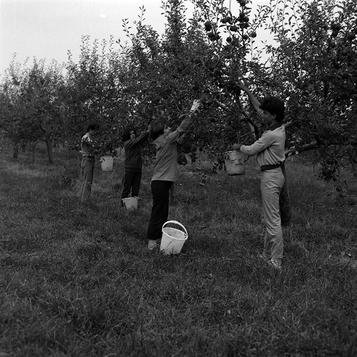 minerva_1986-1987_agrar_c2r1_017