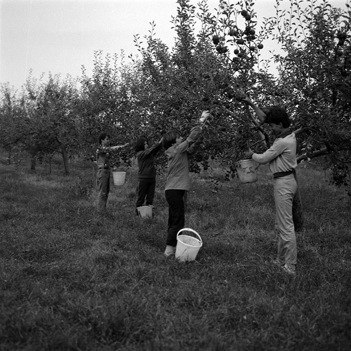 minerva_1986-1987_agrar_c2r1_018