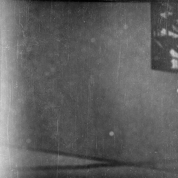 minerva_1986-1987_agrar_c2r1_021