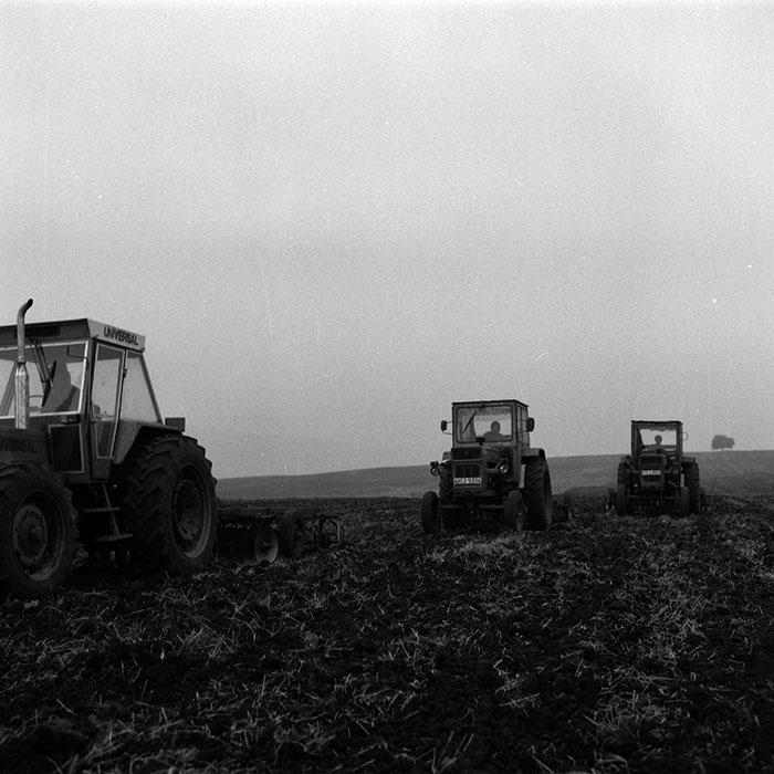 minerva_1986-1987_agrar_c2r2_001