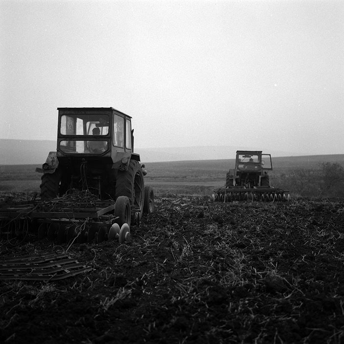 minerva_1986-1987_agrar_c2r2_003