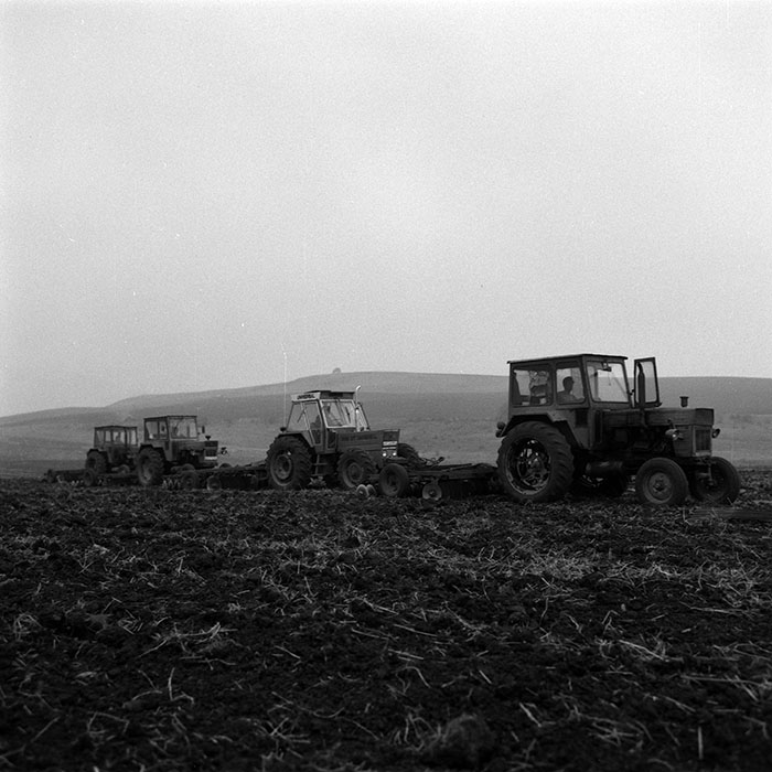 minerva_1986-1987_agrar_c2r2_004