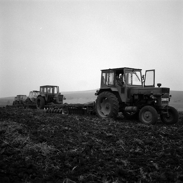 minerva_1986-1987_agrar_c2r2_005