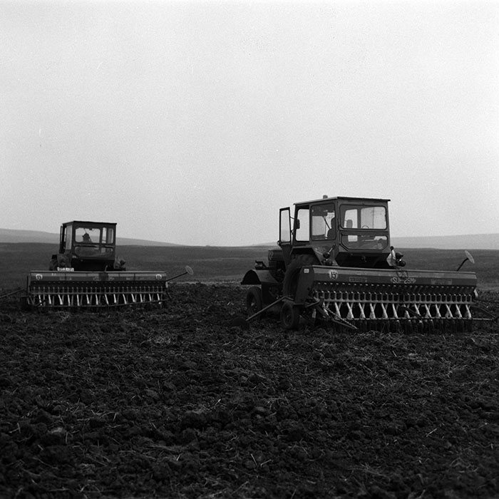 minerva_1986-1987_agrar_c2r2_009