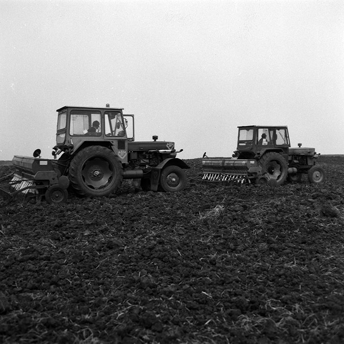 minerva_1986-1987_agrar_c2r2_010