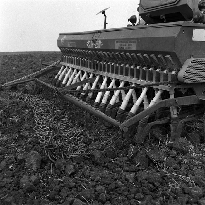 minerva_1986-1987_agrar_c2r2_012