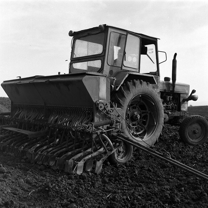 minerva_1986-1987_agrar_c2r2_013