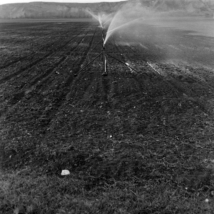 minerva_1986-1987_agrar_c2r2_016