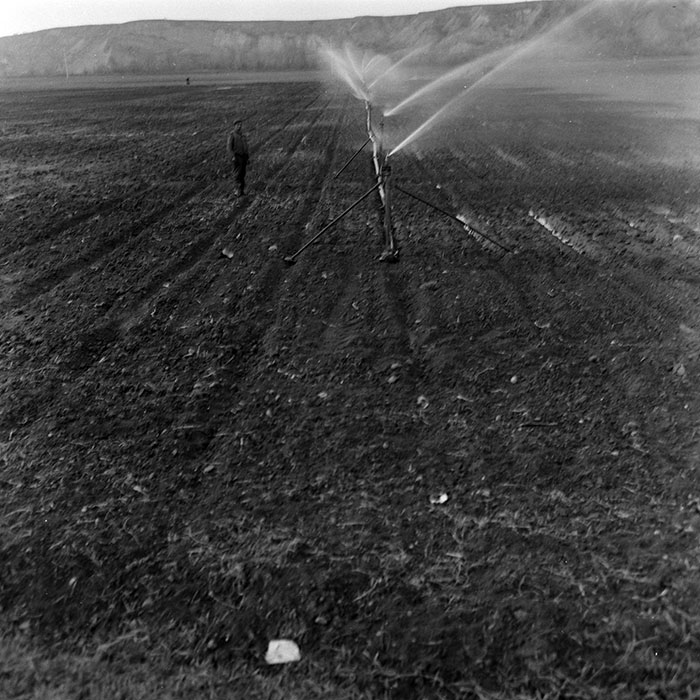 minerva_1986-1987_agrar_c2r2_017