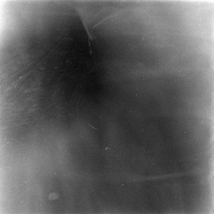 minerva_1986-1987_agrar_c2r2_018