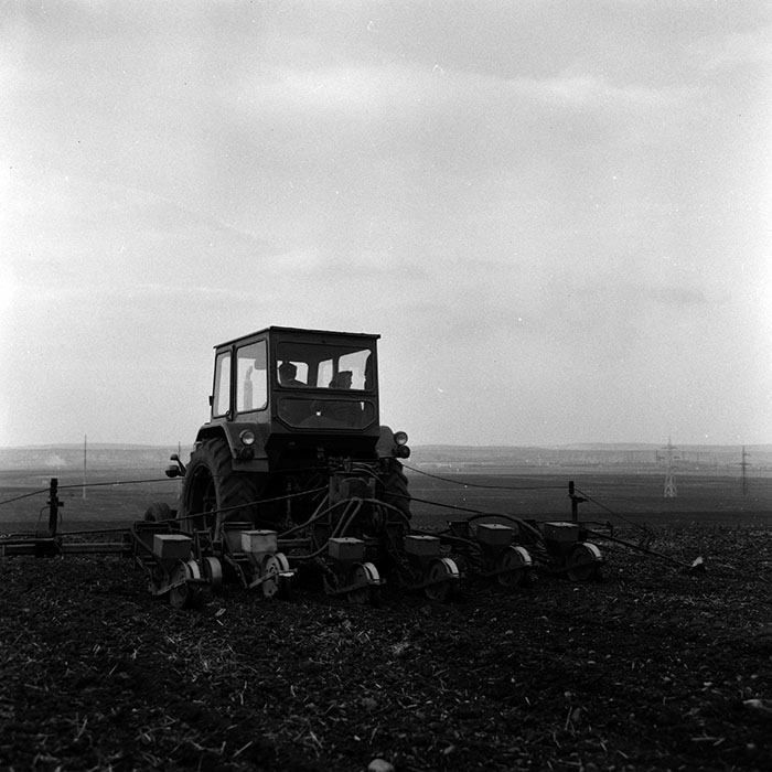 minerva_1986-1987_agrar_c2r2_019