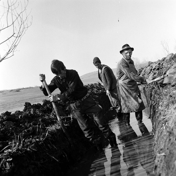 minerva_1986-1987_agrar_c2r2_026