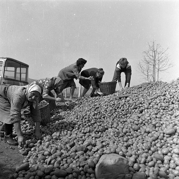 minerva_1986-1987_agrar_c2r3_005