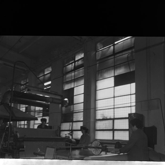 minerva_1986-1987_agrar_c2r3_009