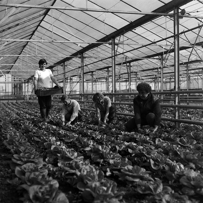 minerva_1986-1987_agrar_c2r4_001