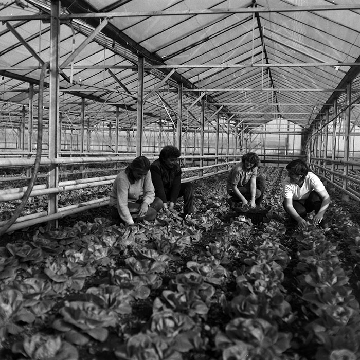 minerva_1986-1987_agrar_c2r4_003