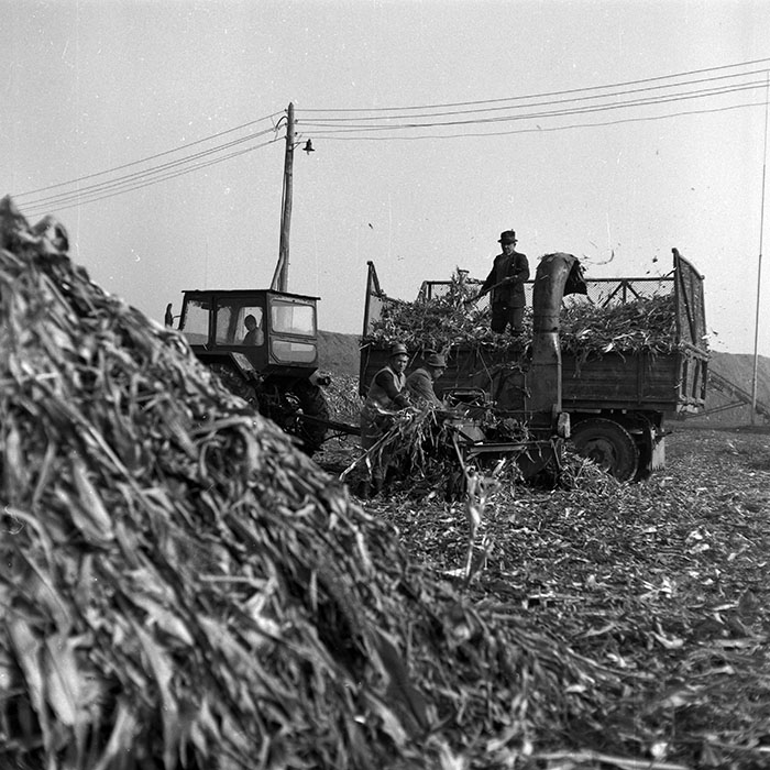 minerva_1986-1987_agrar_c2r4_004