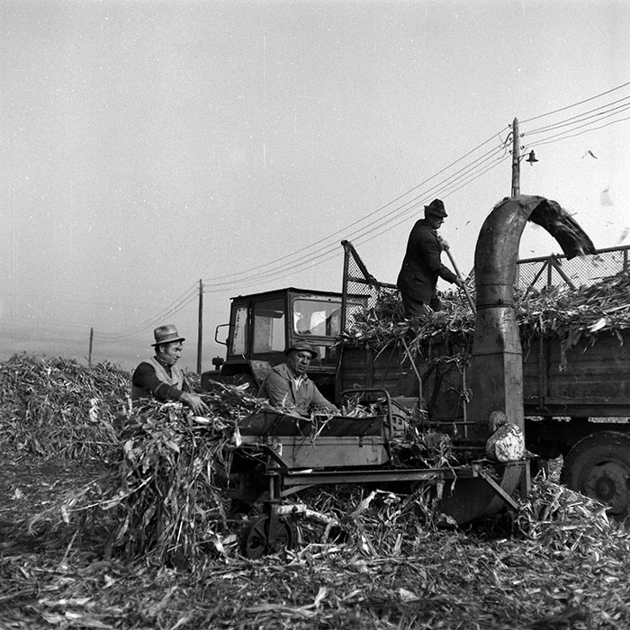 minerva_1986-1987_agrar_c2r4_005