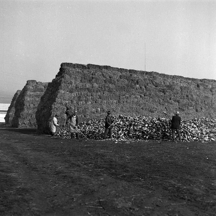 minerva_1986-1987_agrar_c2r4_006