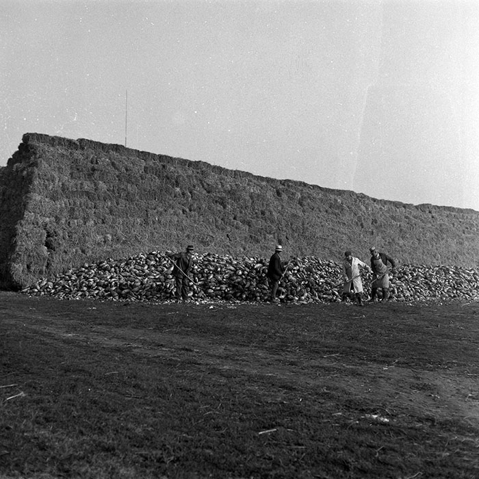 minerva_1986-1987_agrar_c2r4_007