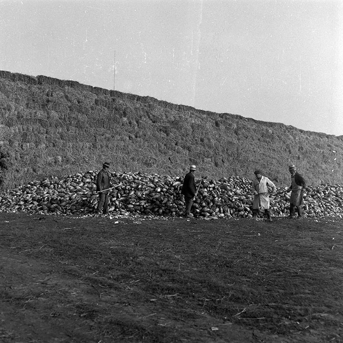 minerva_1986-1987_agrar_c2r4_008