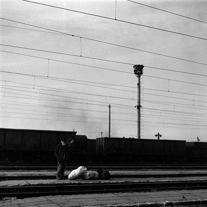 minerva_1986-1987_agrar_c2r5_003