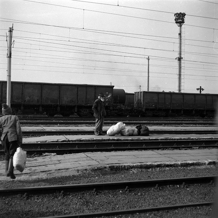 minerva_1986-1987_agrar_c2r5_004