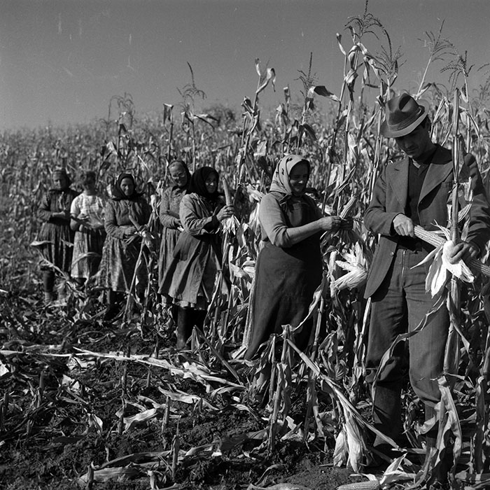 minerva_1986-1987_agrar_c3r1_005