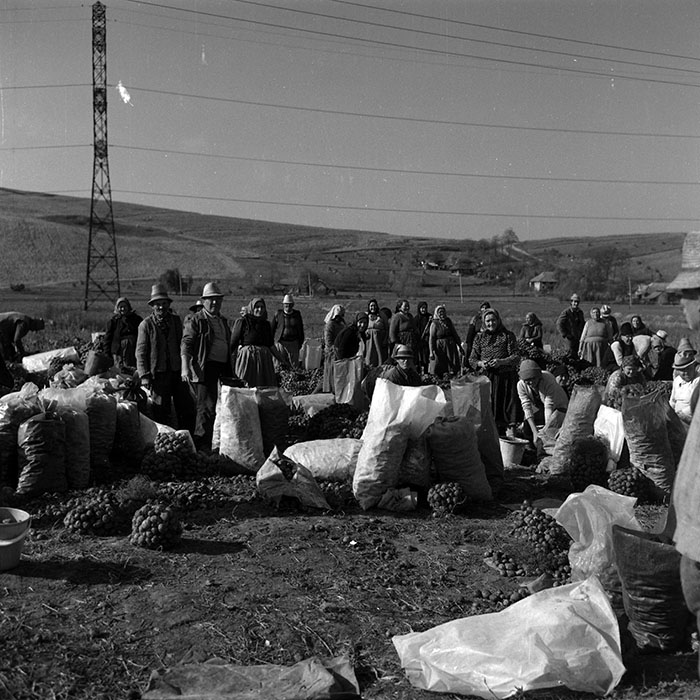 minerva_1986-1987_agrar_c3r1_011