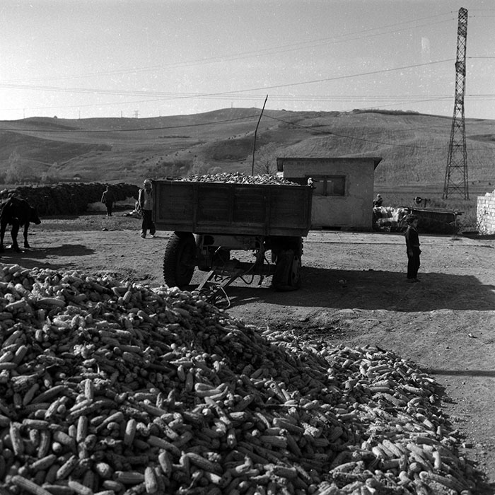 minerva_1986-1987_agrar_c3r1_012