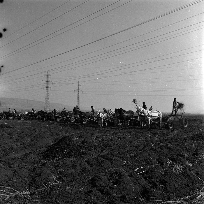 minerva_1986-1987_agrar_c3r2_001